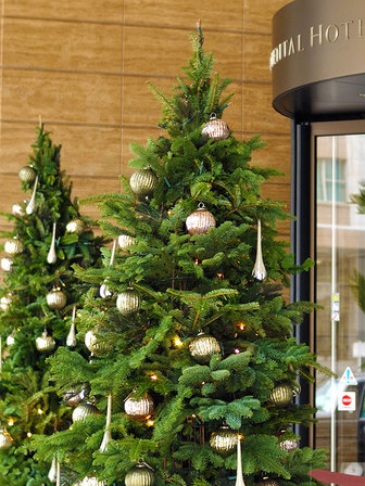 Xmasc[
